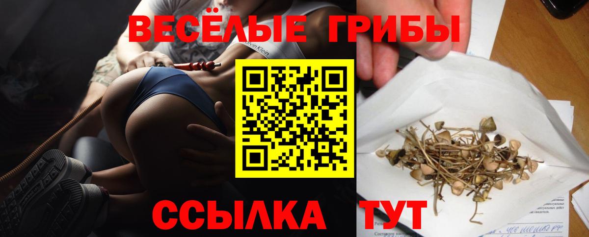 Люберцы  Галлюциногенные грибы Psilocybine cubensis  Вход с VPN 